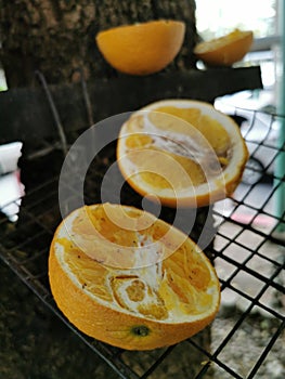 The pieceÃ¢â¬â¹ ofÃ¢â¬â¹ orangeÃ¢â¬â¹ on the Tree